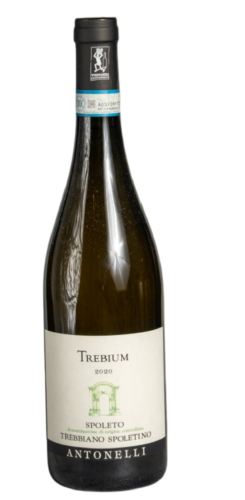 Trebium Spoleto - Antonelli