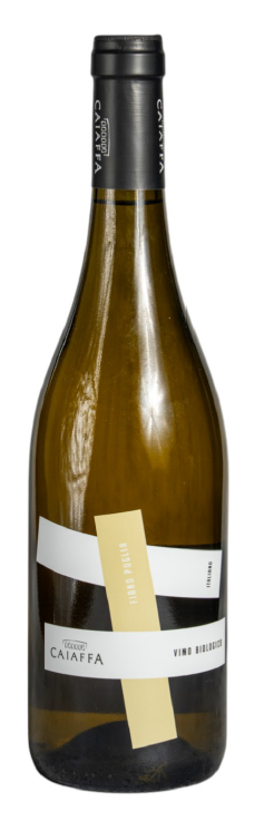 Fiano puglia 2022